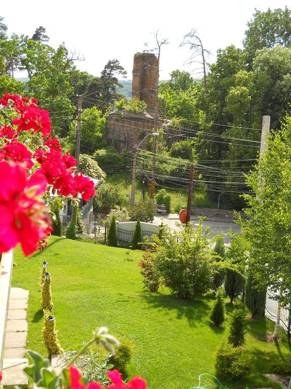 فندق Curtea de Argeşفي  Casa Domneasca المظهر الخارجي الصورة